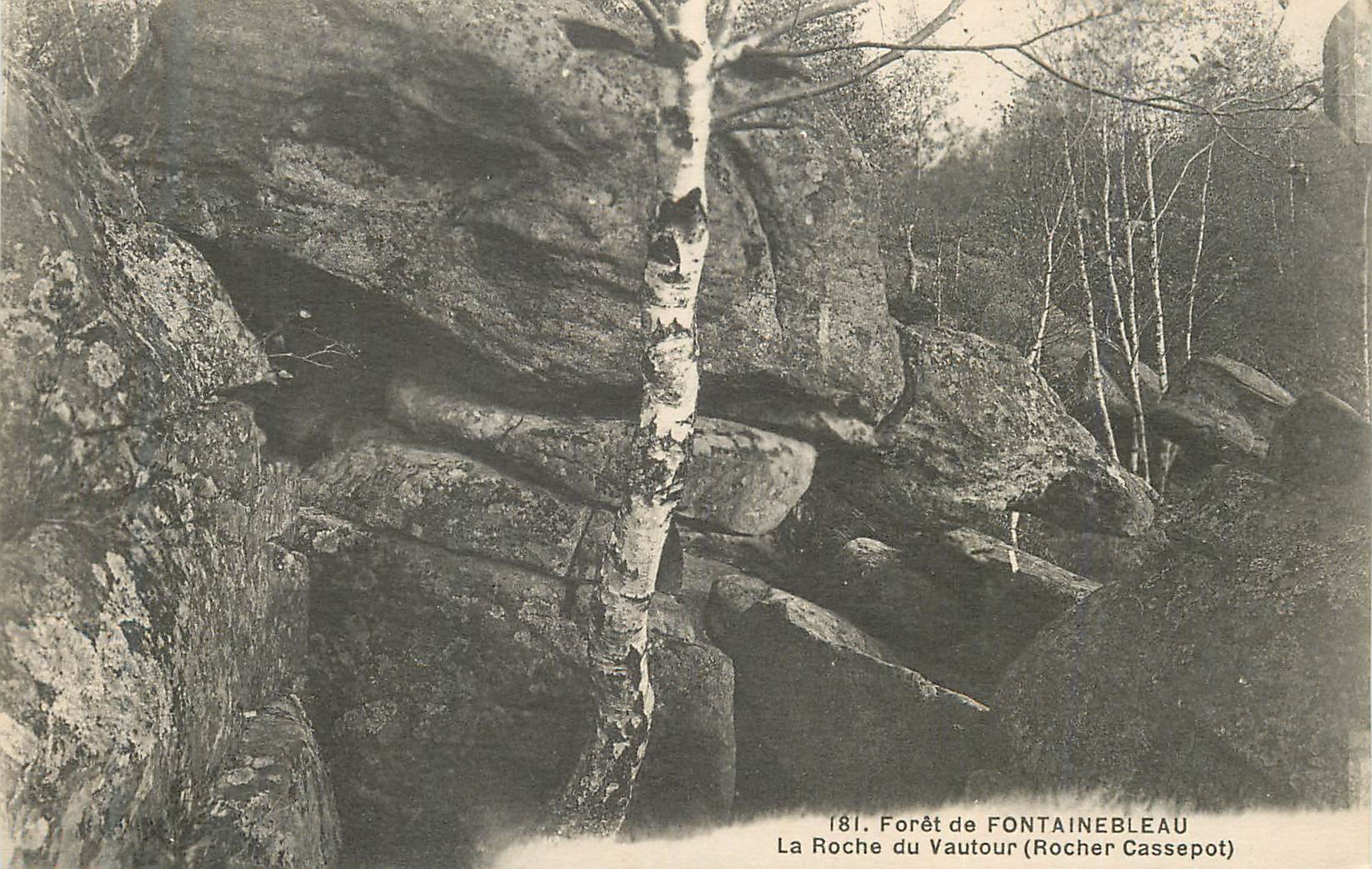 La Roche du Vautour (Rocher Cassepot) — Forêt de Fontainebleau — n° 181